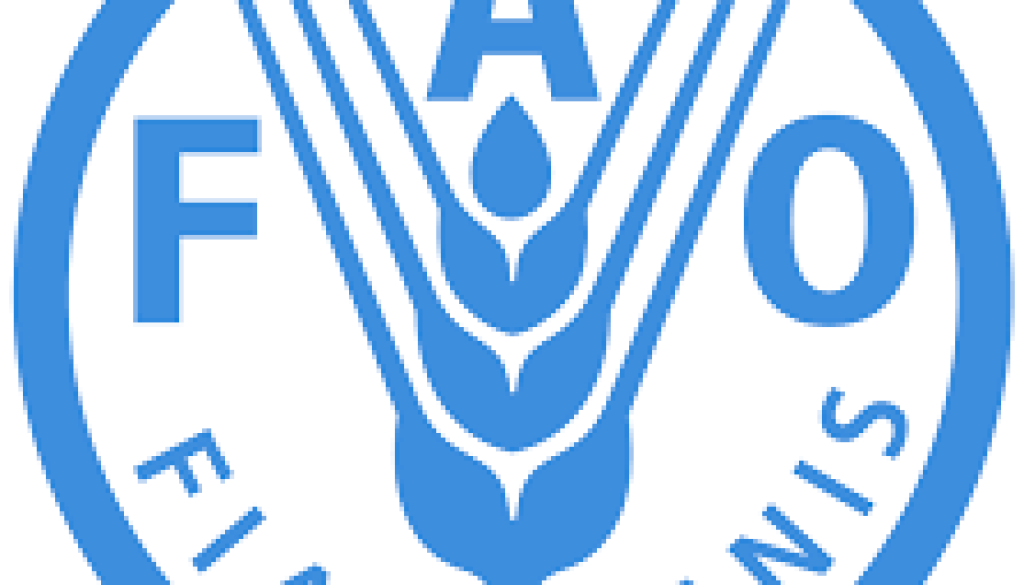 Executive Secretary Indian Ocean Tuna Commission IOTC Vacancy-Job Ref: WJSCFAO/2307/2025824